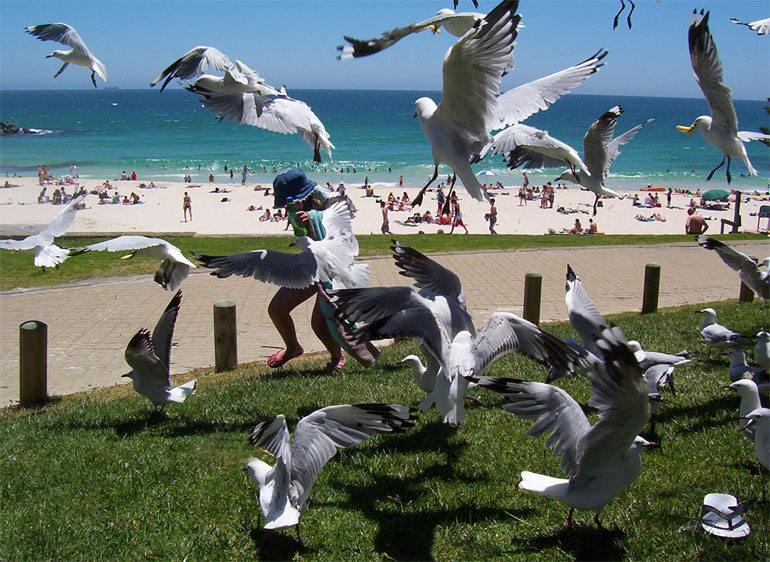 photos Perth Beaches