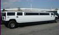perth hummer