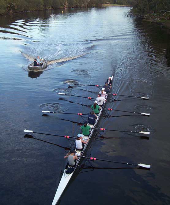 rowing 8 Perth