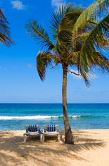 best tropical beach holidays